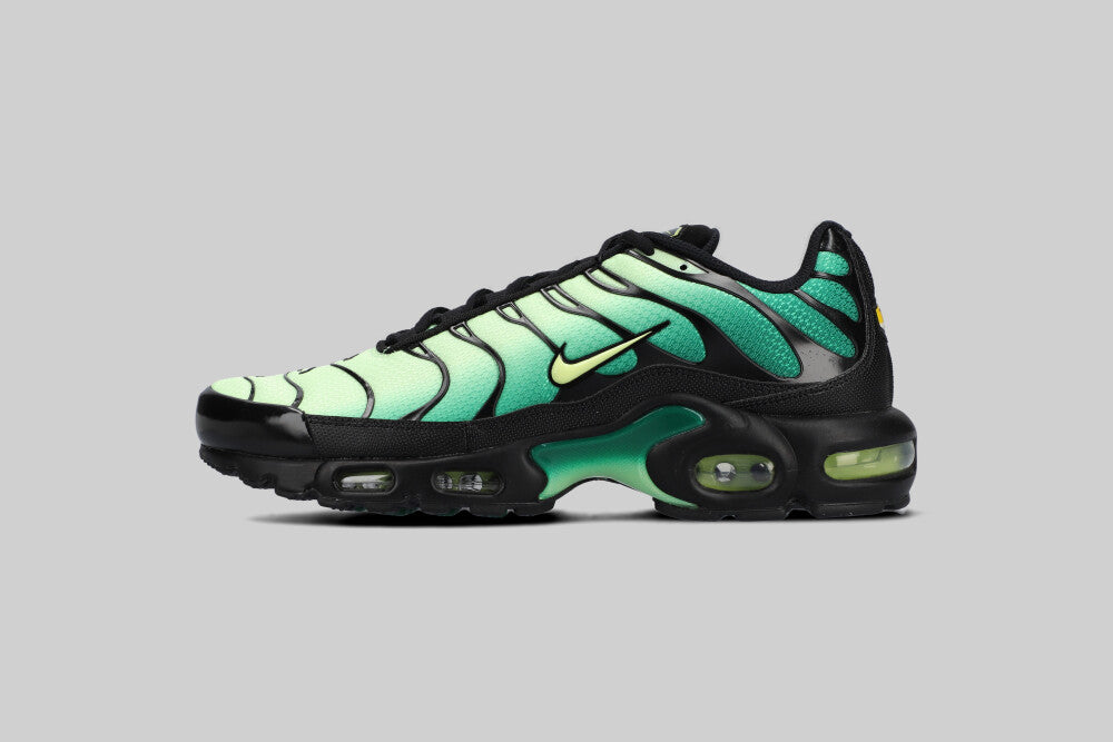 Nike Air Max Plus &