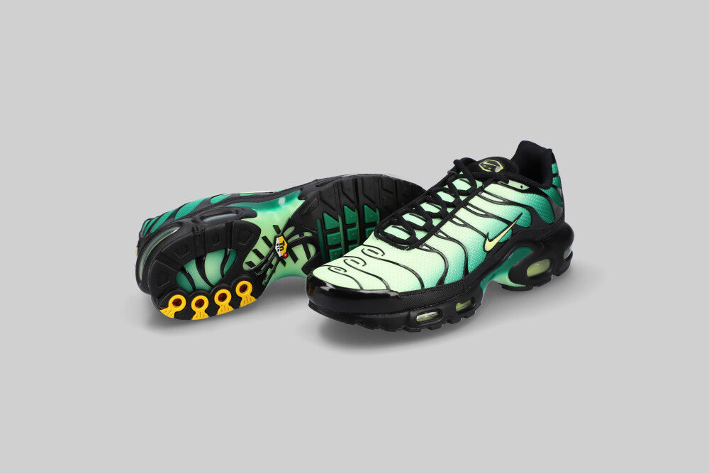 Nike Air Max Plus &