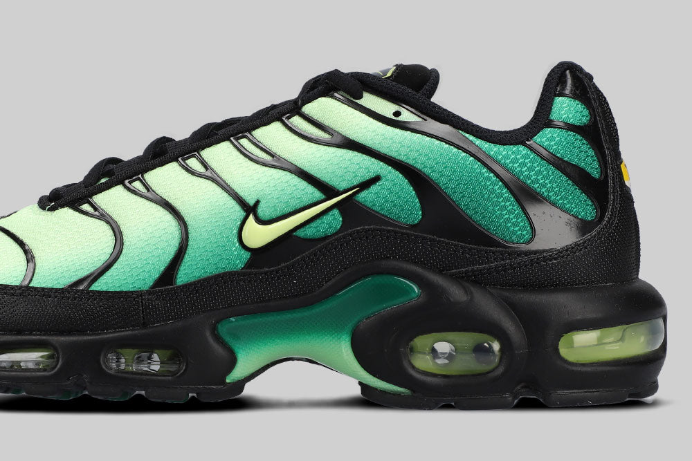 Nike Air Max Plus &