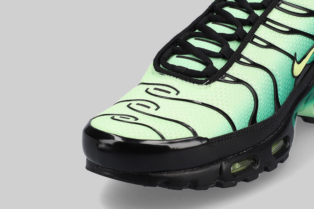 Nike Air Max Plus &