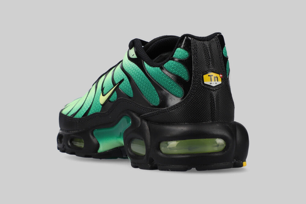 Nike Air Max Plus &