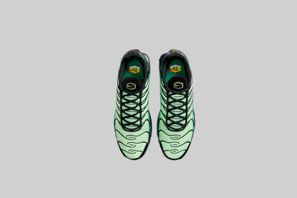 Nike Air Max Plus &