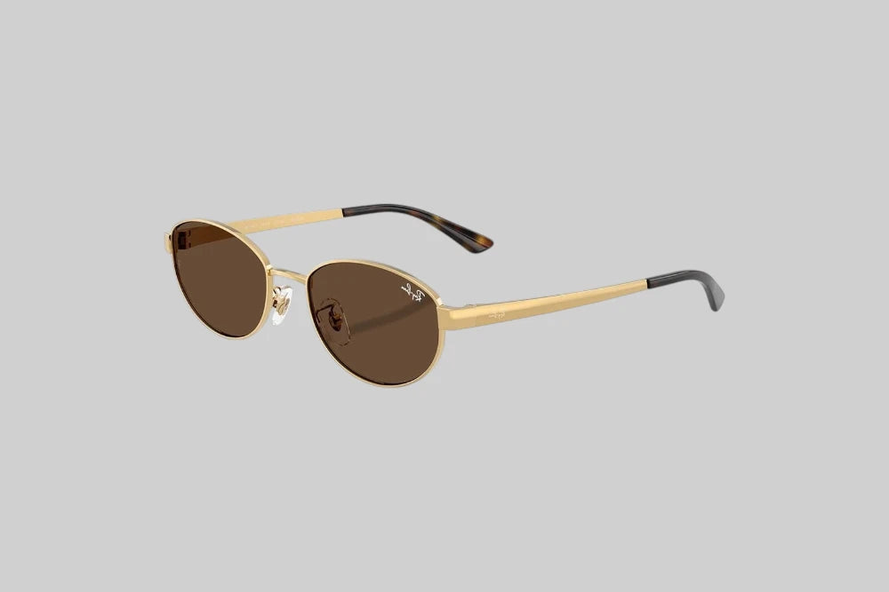 Ray-Ban Evolution Arista Sunglassess - 0RB3774D001/7355 - Lust México