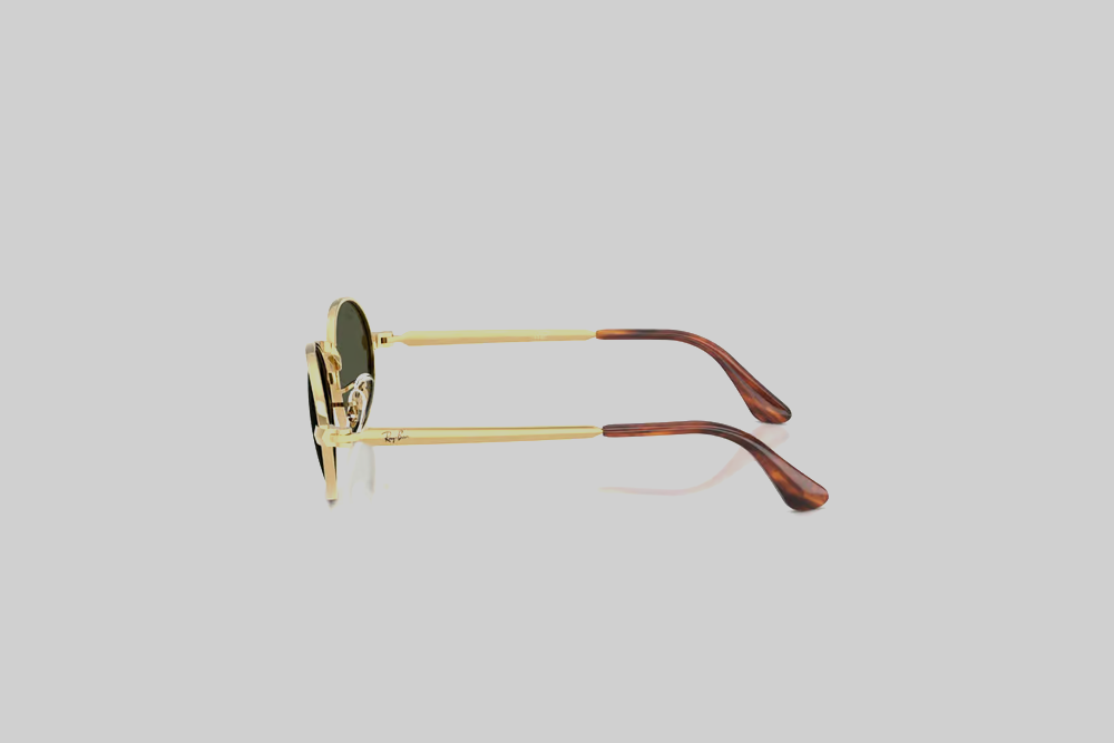 Ray-Ban Evolution Arista Sunglassess- 0RB3931001/3154 - Lust México
