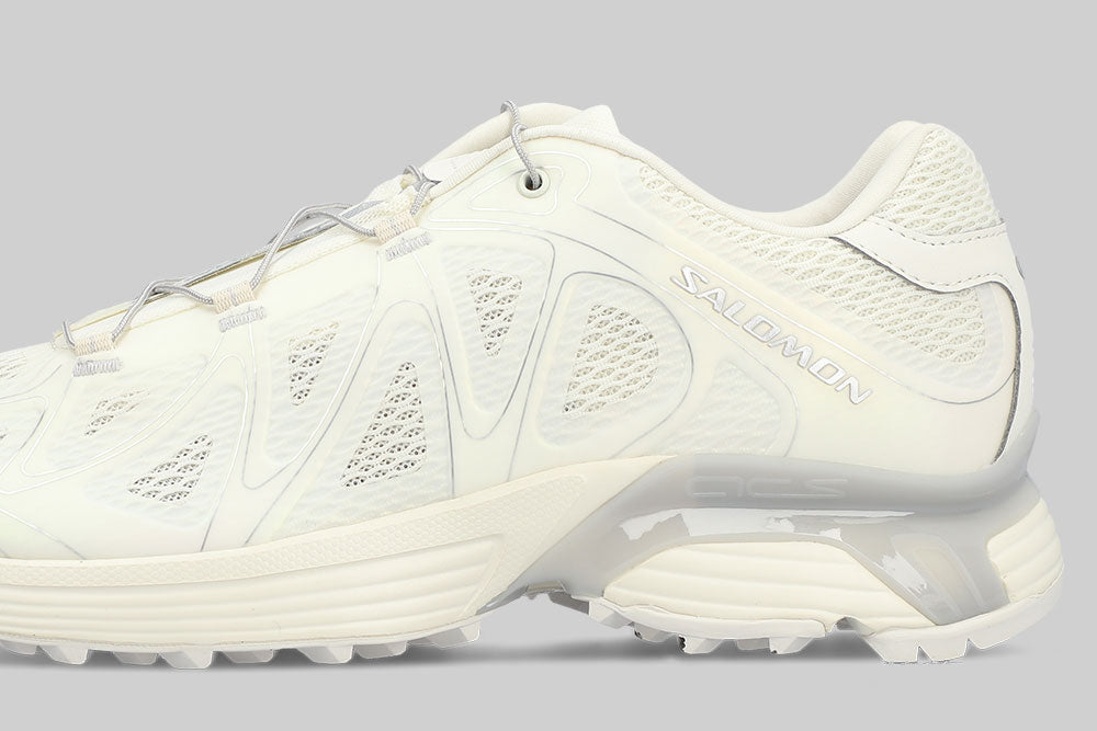 SALOMON XT-WHISPER サロモンシルバー24センチウィスパー