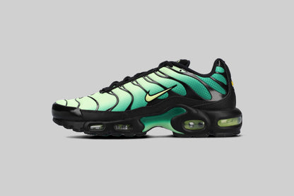 Nike Air Max Plus &