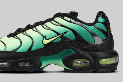 Nike Air Max Plus &