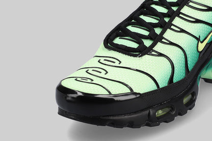 Nike Air Max Plus &