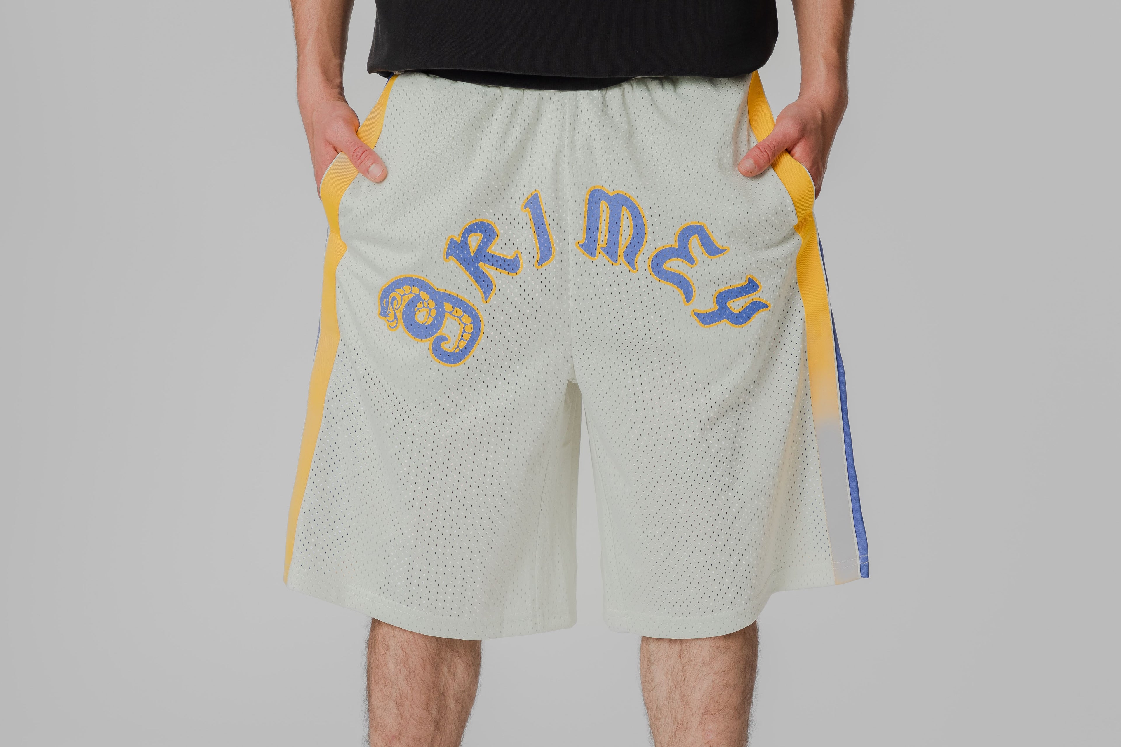 Grimey Droppin Science Baggy Mesh Shorts - GBMS207-OWHT - Lust México