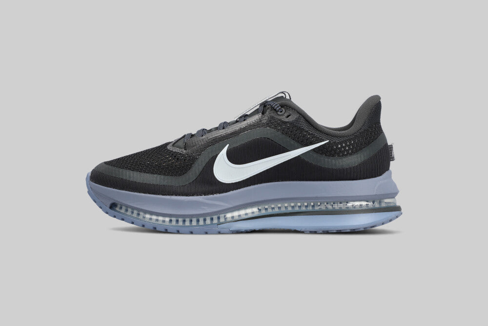 Nike Pegasus Premium 'Anthracite and Pure Platinum'