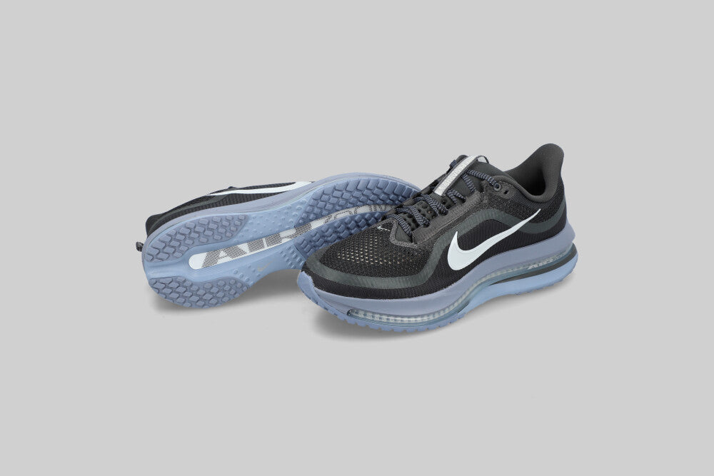 Nike Pegasus Premium 'Anthracite and Pure Platinum'