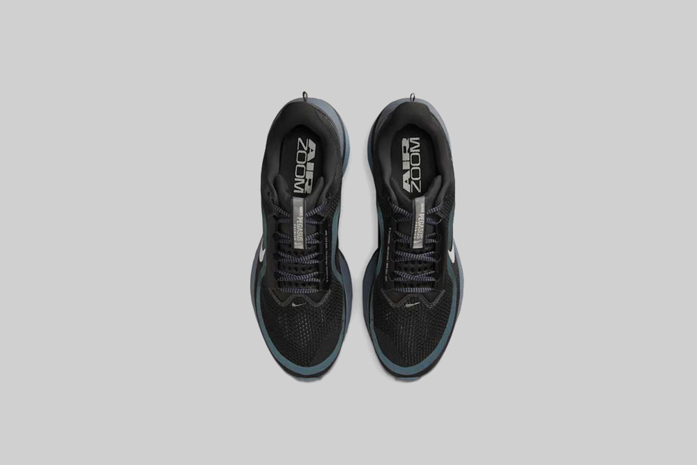 Nike Pegasus Premium 'Anthracite and Pure Platinum'
