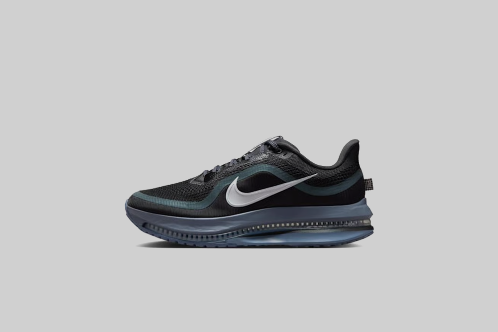 Nike Pegasus Premium 'Anthracite and Pure Platinum'