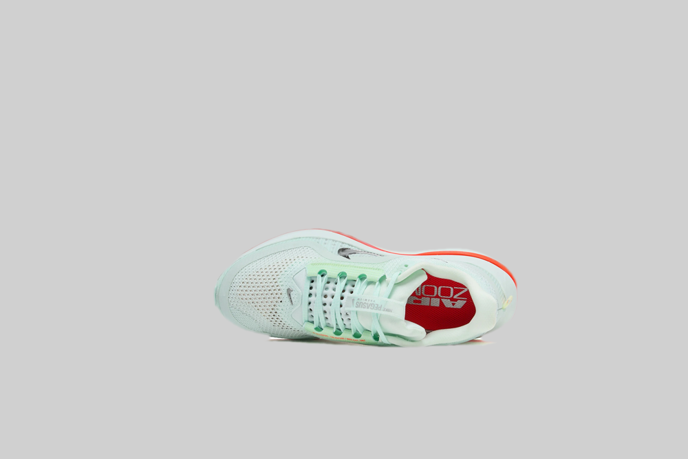 Nike Pegasus Premium 'Barely Green'