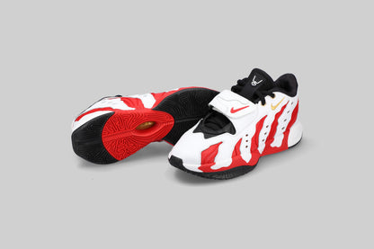 Nike LeBron 21 Prime 96 &