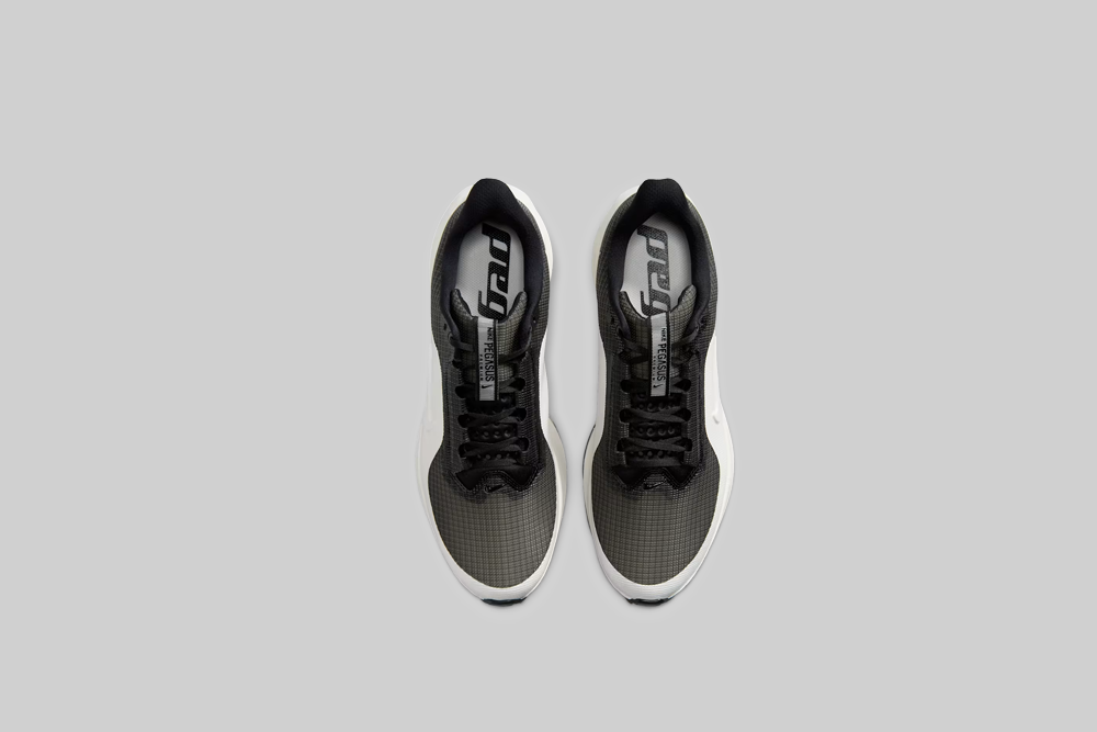 Nike Pegasus Premium 'Black and Sail' - IR2166-001