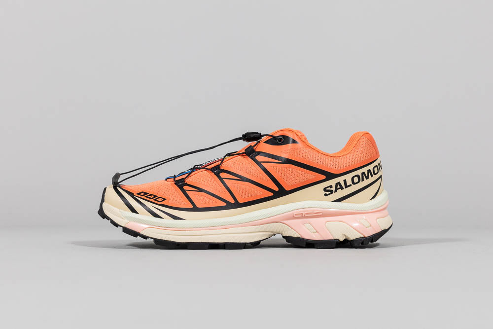 Salomon XT-6 &