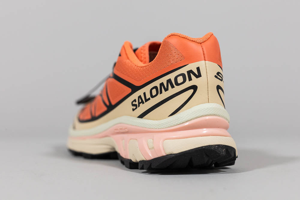 Salomon XT-6 &