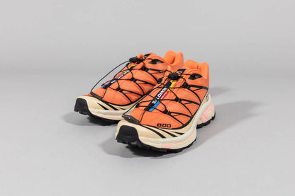 Salomon XT-6 &