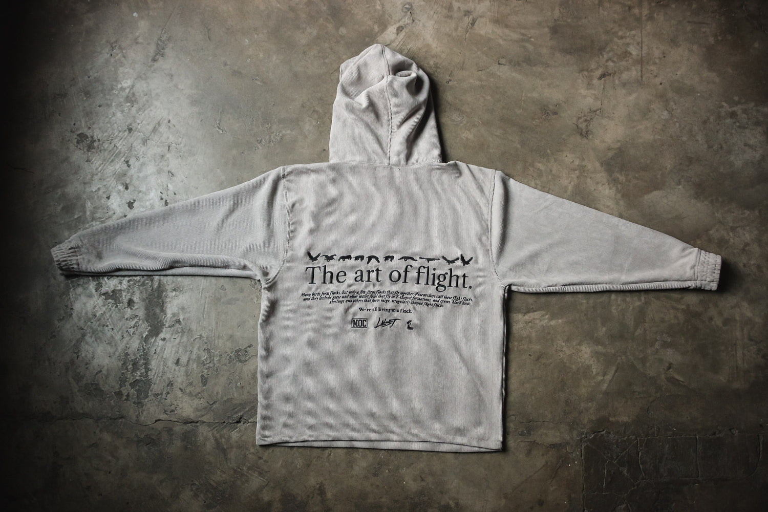 Lust Art Of Flight Hoodie (6746652999746)
